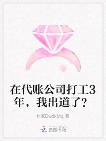 After Working in an Accounting Agency for 3 Years, I Made My Debut?