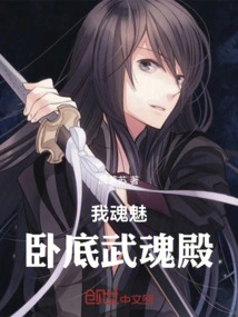 My Soul Charm, Undercover Wuhun Palace