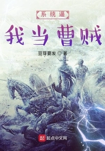 The System Forces Me to Be a Thief