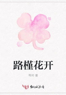 Hibiscus Flowers Bloom