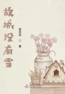 There is No Snow in the Old City