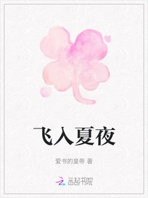 Flying into the Summer Night