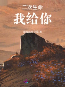 I'll Give You a Second Life