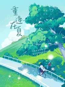 Meet Again in Summer