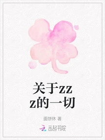 Everything About Zzz