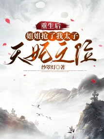 After My Rebirth, My Sister Took Away My Position as Crown Prince and Heavenly Concubine