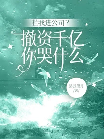 Stop Me from Entering the Company? Why Are You Crying after Hundreds of Billions of Investments Were Withdrawn?