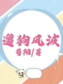 Dog Walking Controversy