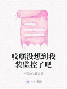 Hey, You Didn't Expect Me to Install Surveillance Cameras, Right?