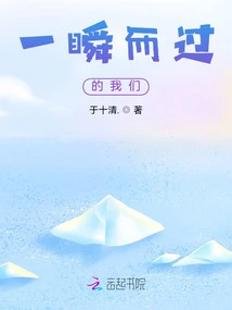 We Passed by in an Instant