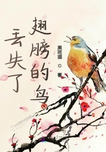 Bird That Lost Its Wings