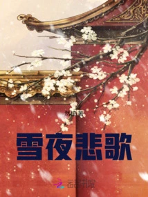 Elegy on a Snowy Night