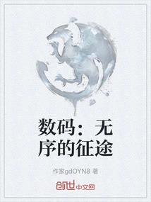 Digital: the Journey of Disorder