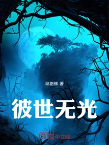 There is No Light in the Other World