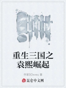 Rebirth of the Three Kingdoms: the Rise of Yuan Xi