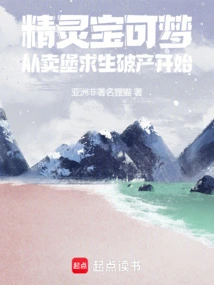 Pokémon: Starting from Selling a Castle to Survive and Going Bankrupt