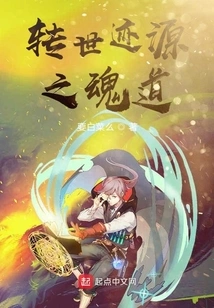 The Soul Path of the Source of Reincarnation