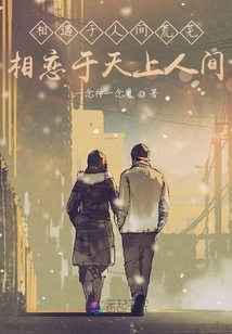 Meet in the Desolation of the Human World, Fall in Love in the Heaven and Earth