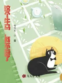 I Won't Do This Bullshit