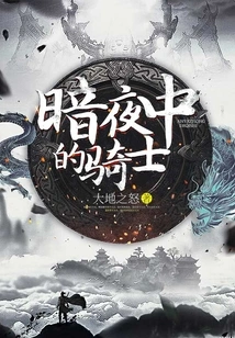 Knight in the Dark Night