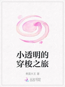 Small Transparent Shuttle Journey