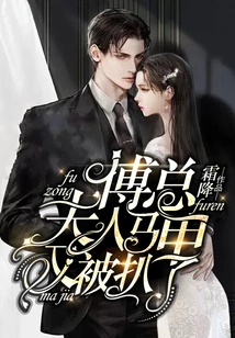 Mr. Fu, I Want Your Heart