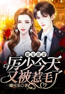 Sweet Sweet Wife: Mr. Li, I Got Pissed Off Again Today!