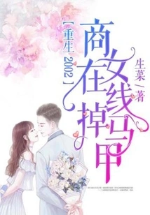 Rebirth 2002: a Businesswoman Loses Her Vest Online