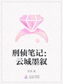 Criminal Investigation Notes: Mo Xu from Yuncheng