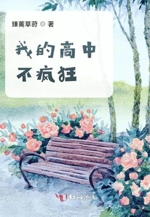 My High School Wasn't Crazy