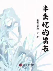 Semi-amnesiac Boyfriend