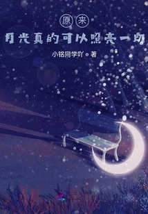 It Turns Out That Moonlight Can Really Illuminate Everything