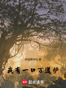 I Have a Wandao Stove