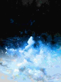 Genetically Modified Winter Melon