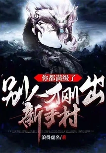 You Are Already at Full Level, Others Have Just Left the Novice Village