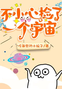 I Accidentally Picked up a Universe