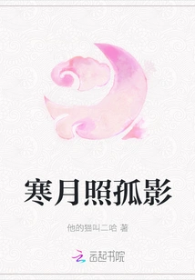 The Cold Moon Shines on the Lonely Shadow