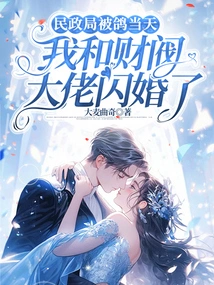 On the Day the Civil Affairs Bureau Was Sacked, I Had a Flash Marriage with a Chaebol Boss