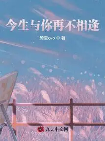 I Will Never Meet You Again in This Life