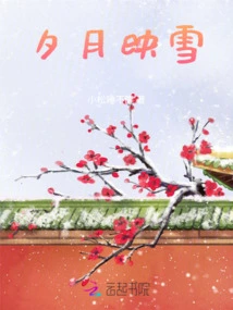 The Setting Moon Reflects the Snow