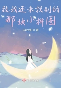 To That Little Piece of the Puzzle I Haven't Found Yet