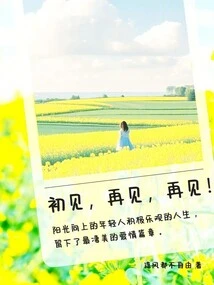 First Meeting, Goodbye, Goodbye