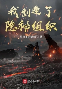 I Created a Secret Organization