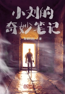 Xiao Liu's Wonderful Notes