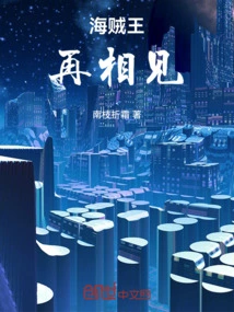 One Piece: See You Again