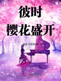 The Cherry Blossoms Were in Full Bloom