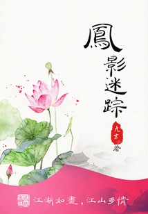 Phoenix Shadow Lost Traces