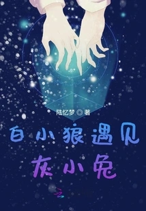 White Wolf Meets Gray Rabbit