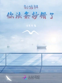 Don't Make Excuses, You Copied the Law Wrongly