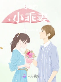 The Ceo's Little Wife